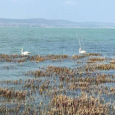 Kohaz Balatonszemes