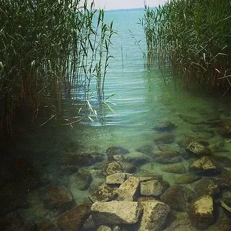 Kohaz * Balatonszemes