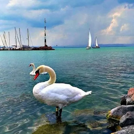 Kohaz * Balatonszemes