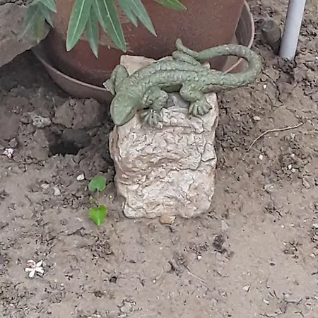 Kohaz * Balatonszemes